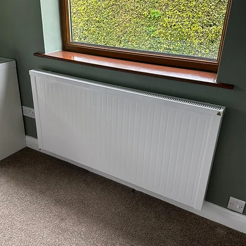 NEOS in Real Life Photo 94